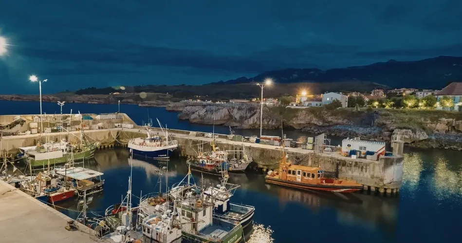 Morro Bay Travel Guide: Beaches, Attractions & Local Experiences Along California’s Coast